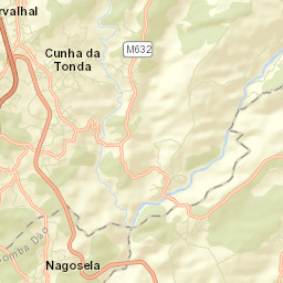 Carregal do Sal Street Map
