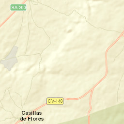 Casillas de Flores Street Map