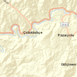Pazaryolu Street Map