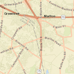 Greentree Street Map