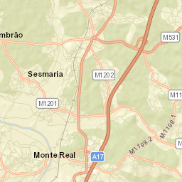 Monte Real Street Map