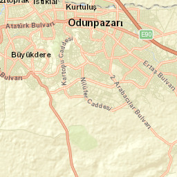 Odunpazarı Street Map