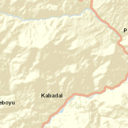 Turluk Street Map