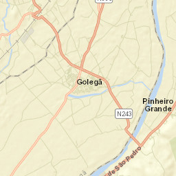 Golegã Street Map