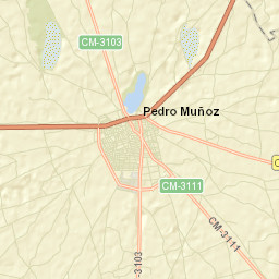 Pedro Muñoz Street Map