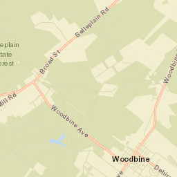 Woodbine Street Map