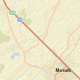 Masally Street Map