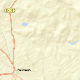 Palomas Street Map