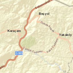 Bornova Street Map