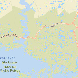 Dorchester County Street Map