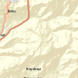 Bitlis Street Map