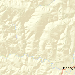 Bodega California Street Map