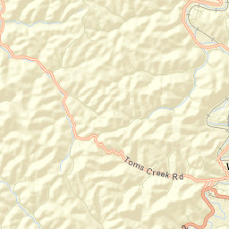 Wayne Street Map