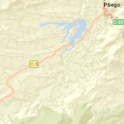 Pliego Street Map
