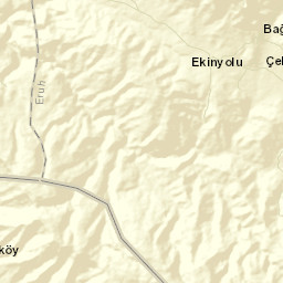 Lodi Street Map