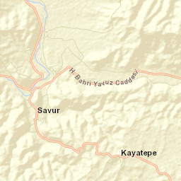 Savur Street Map