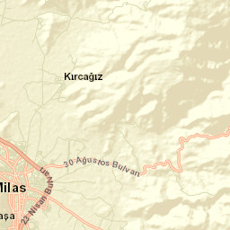 Milas Street Map