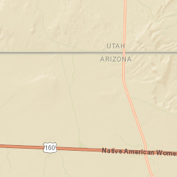 Red Mesa Arizona Street Map