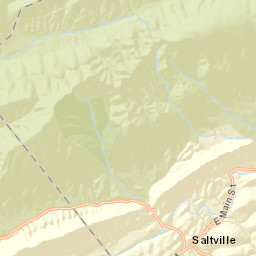 Saltville Street Map