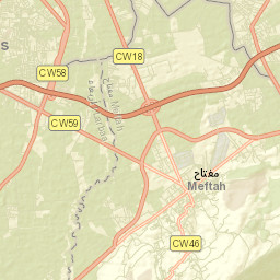 Meftah Street Map