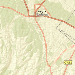 Hadjout Street Map