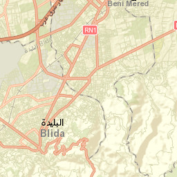 Blida Street Map