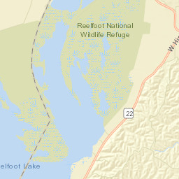 Spout Springs Tennessee Street Map