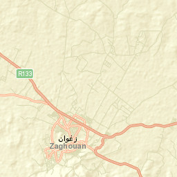 Zaghouan Street Map