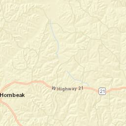 Hornbeak Tennessee Street Map