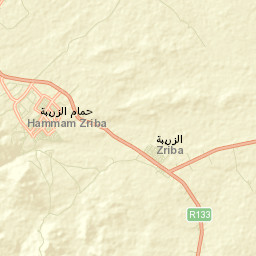Zriba Street Map