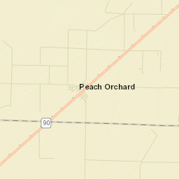 Peach Orchard Arkansas Street Map