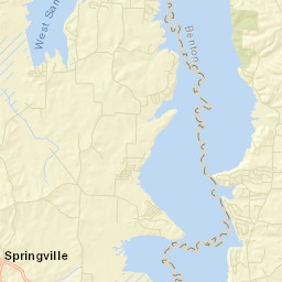 Springville Tennessee Street Map