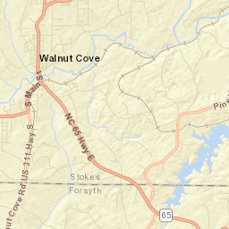 Walnut Cove Street Map