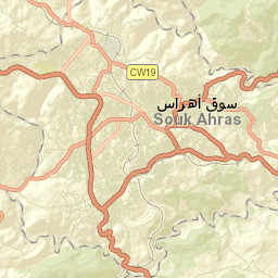 Souk Ahras Street Map