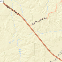 Spring Creek Tennessee Street Map
