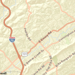 Pedigo Tennessee Street Map