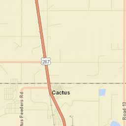 Cactus Street Map
