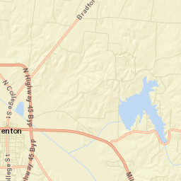 Trenton Tennessee Street Map