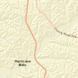 Hurricane Mills Tennessee Street Map