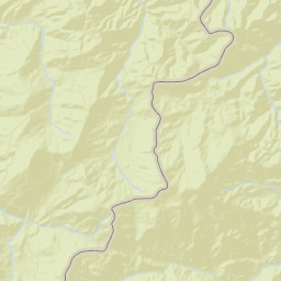 Wasp Tennessee Street Map