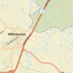 Williamston Street Map