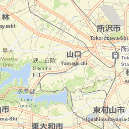 Tokorozawa-shi Street Map