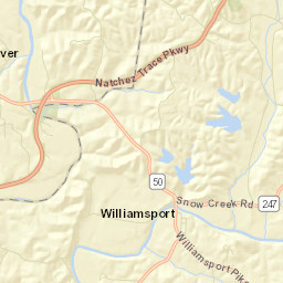 Williamsport Tennessee Street Map