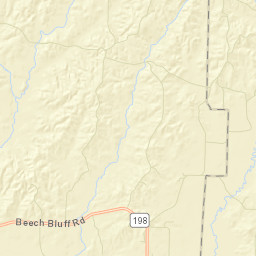 White Fern Tennessee Street Map