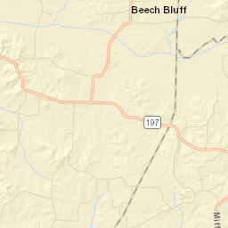 Beech Bluff Tennessee Street Map
