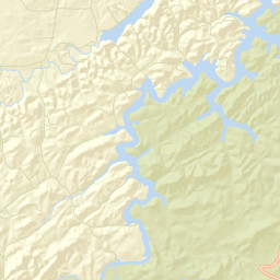 Hopewell Springs Tennessee Street Map