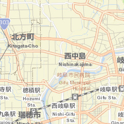 Mizuho-shi Street Map