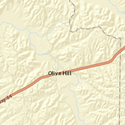 Olivehill Tennessee Street Map