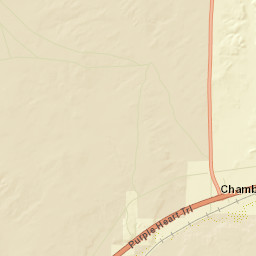 East Highway 66, Chambers, AZ 86502, USA Street Map