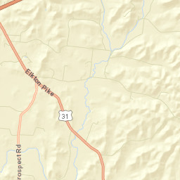 Tarpley Tennessee Street Map